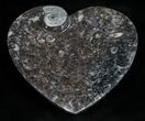 Heart Shaped Fossil Goniatite Dish #4949-1